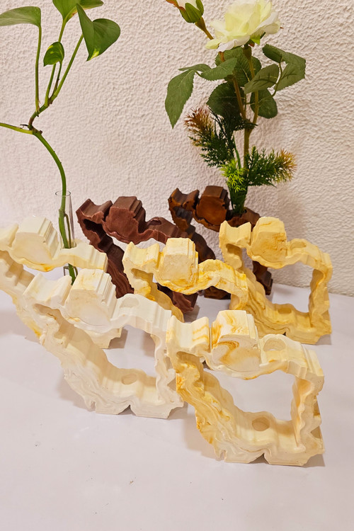 گلجای ایران با تنوع رنگی، وطنم جوانه می زند،